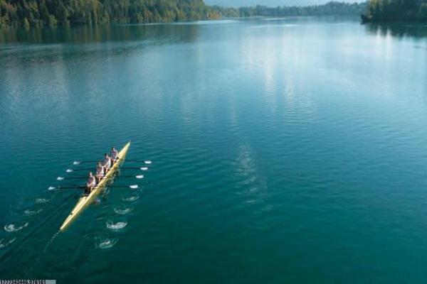 最适合团队合作的体育项目推荐(图1)